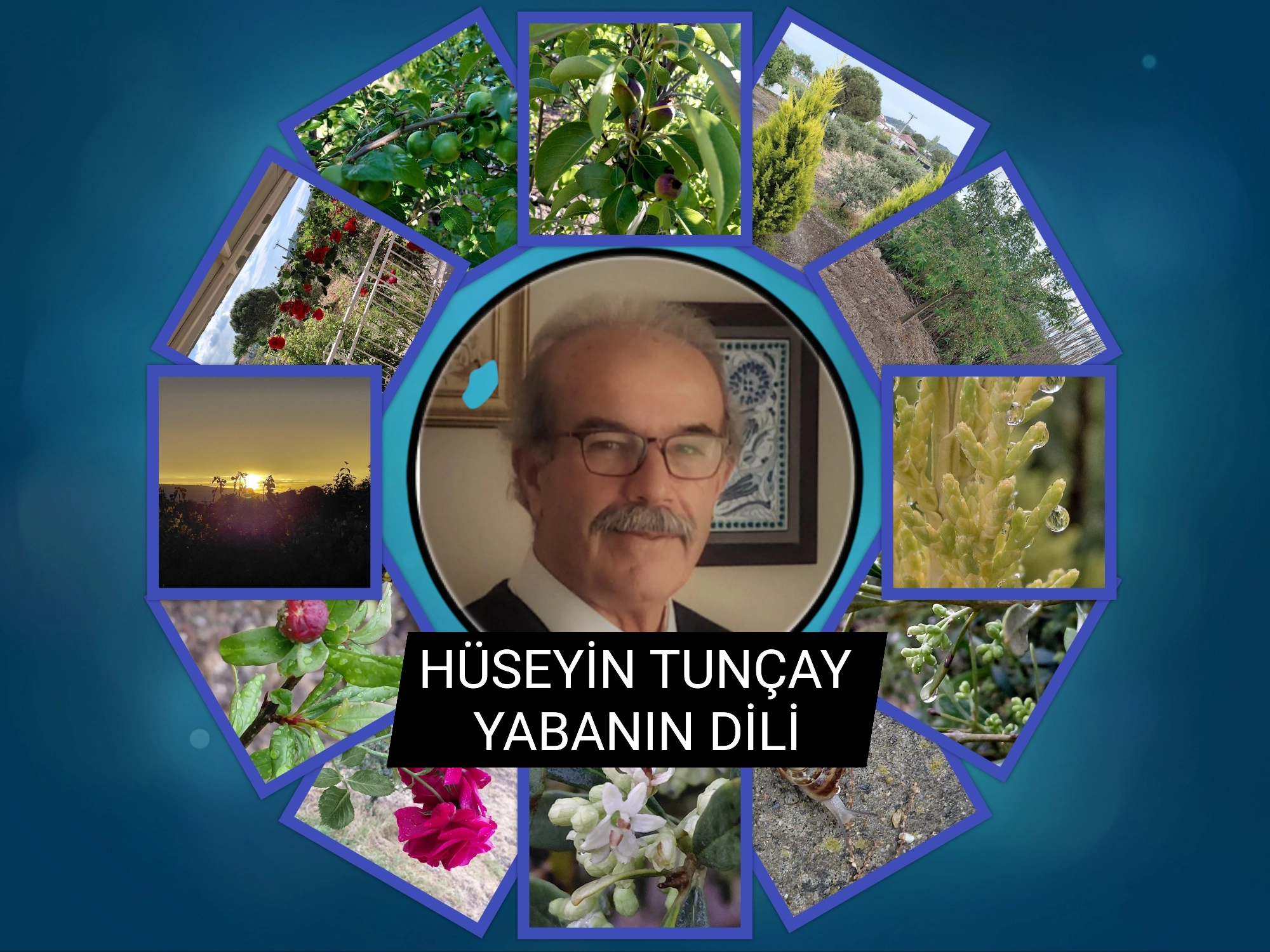 YABANIN DİLİ 1